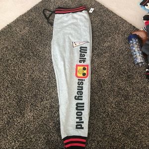 Disney world vault collection sweat pants